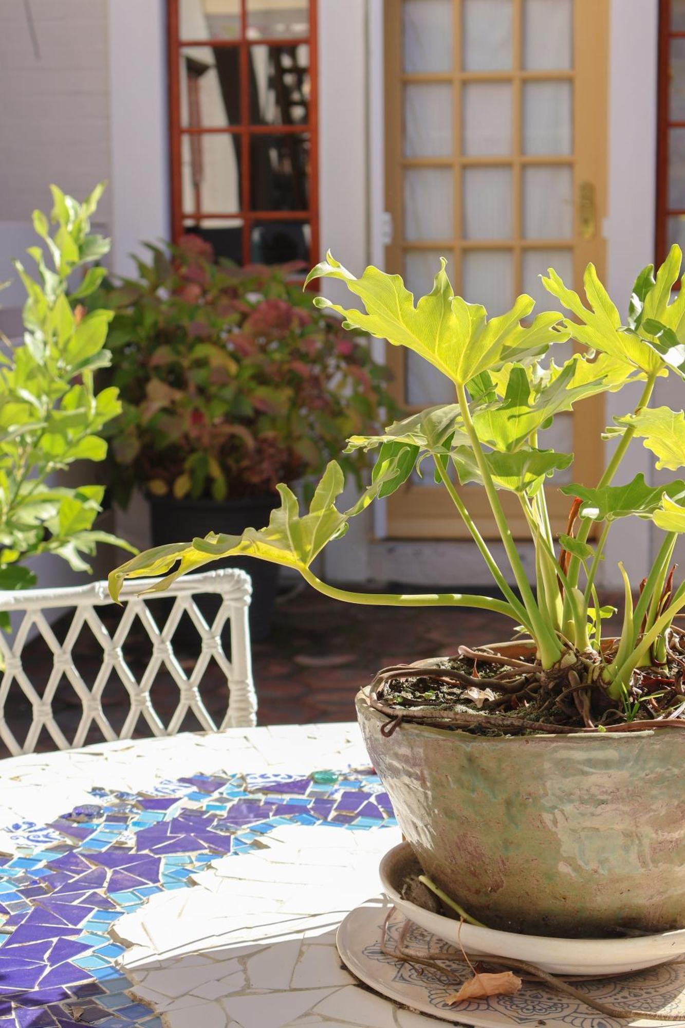 The Gate Guesthouse Clarens Esterno foto